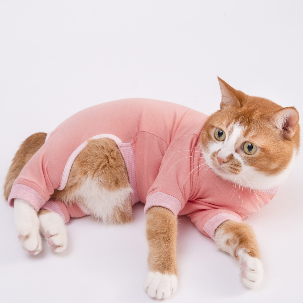 アトピーやアレルギーの猫をサポートする ぽぽねこの猫用皮膚保護服 ペトハピ Pet Happy