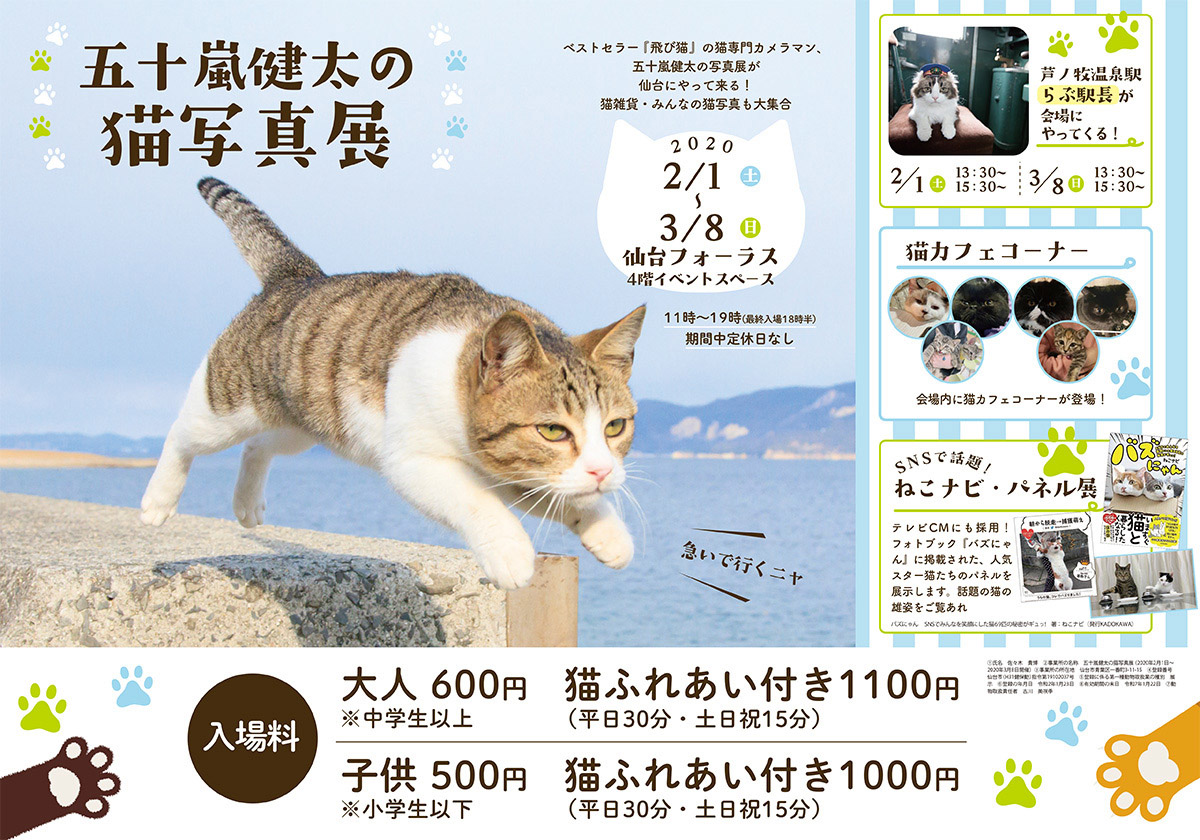 飛び猫 写真展が宮城県仙台市 女川町で2月から開催