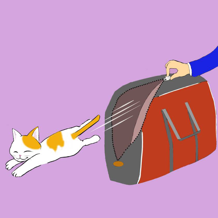 猫のバッグは外に持ち出して 斜めに提げてペットのカバンを持ちます お得な情報満載