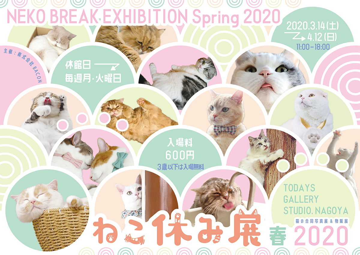 春満載の ねこ休み展 が名古屋で3月に開催 イースター記念イベントや癒しの新作動画も公開 ペトハピ Pet Happy
