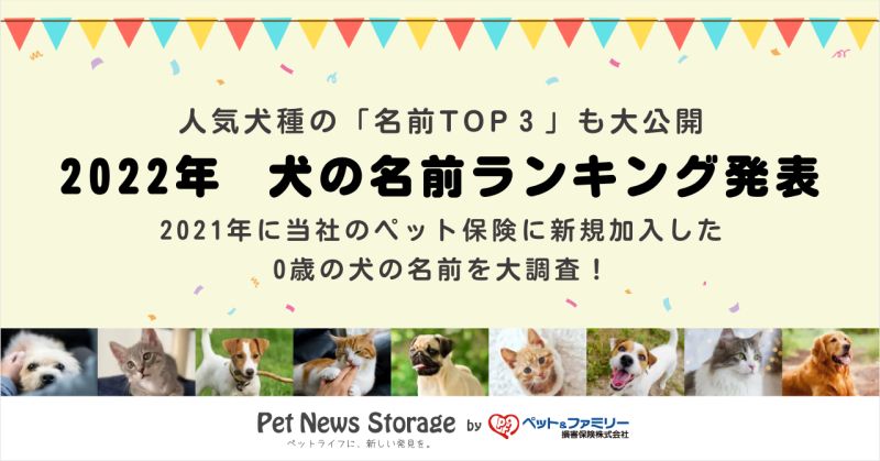 ペット ファミリー損保 22年 犬の名前ランキング を発表 ペトハピ Pet Happy
