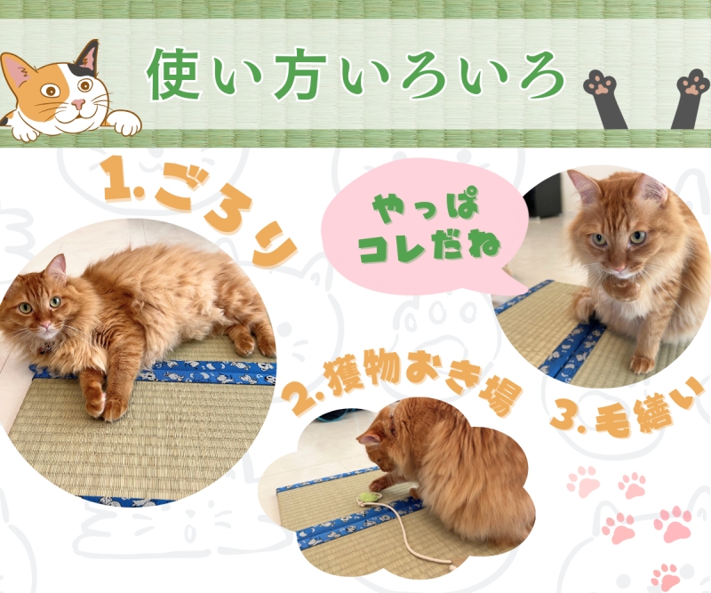 猫好き必見。熊本県産い草100%の爪とぎもできる「お猫様専用ミニ畳