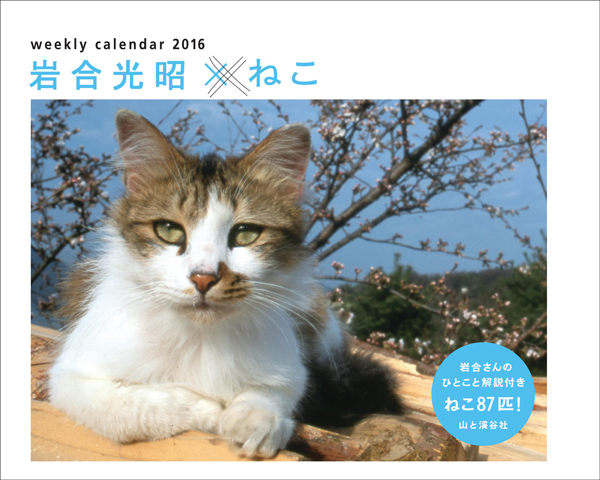 岩合光昭 ねこ や 子いぬコロコロ など ヤマケイの16年カレンダー ペトハピ Pet Happy